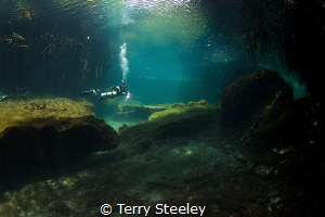 'Journey into the unknown'
— Subal underwater housing, C... by Terry Steeley 